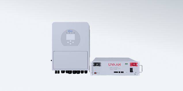 5kw Hybrid Inverter + 5Kwh Storage